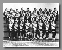 Band-ghs81